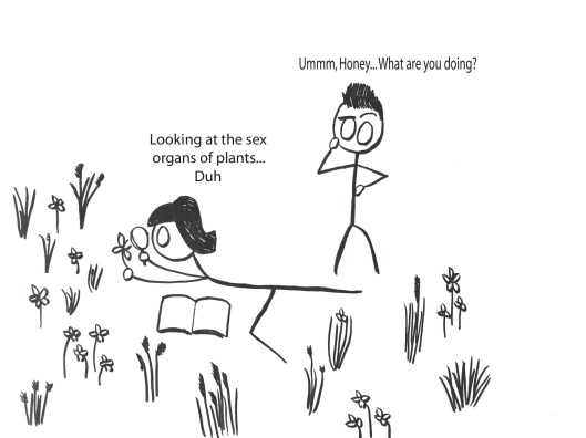 2017-07-31 Plant Junk_2